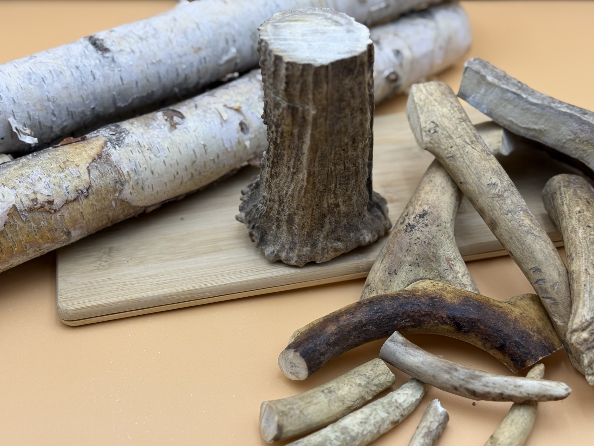 Deer Antlers
