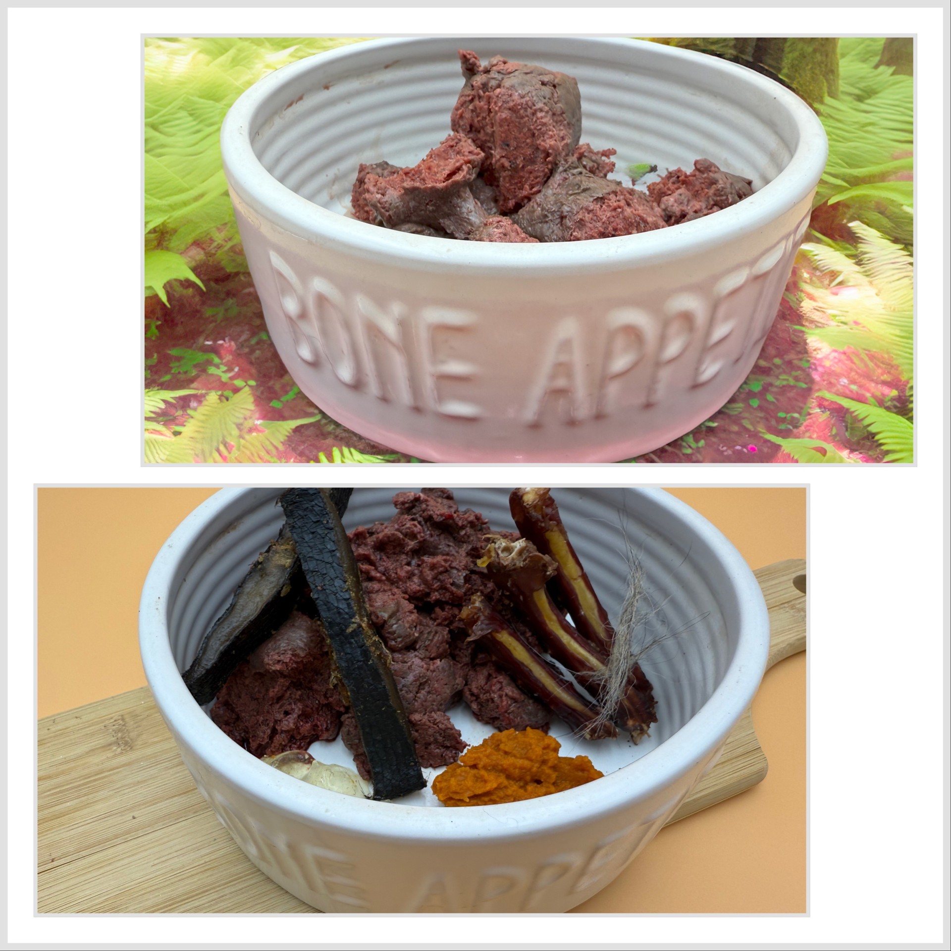 Dog Food
