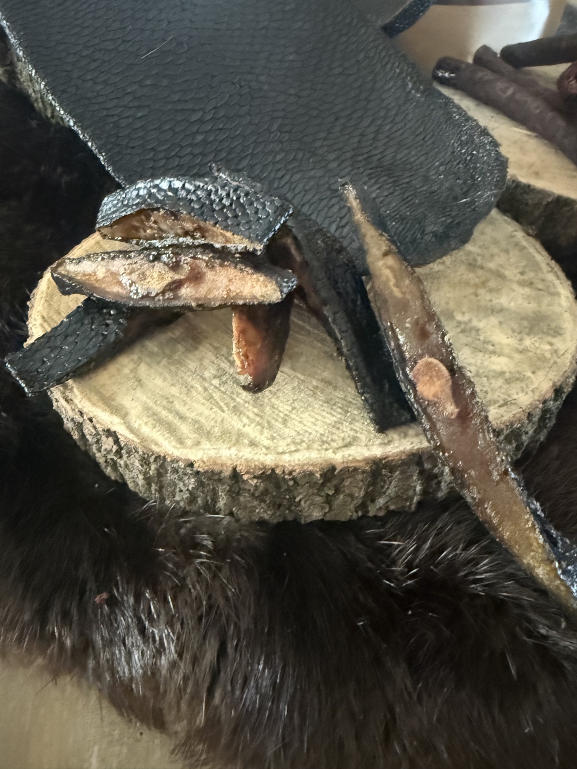 Dehydrated Beaver Tail
